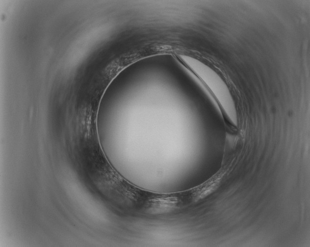 X0000083070525200702161825