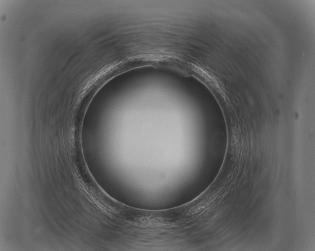 X0000083070535200702161824