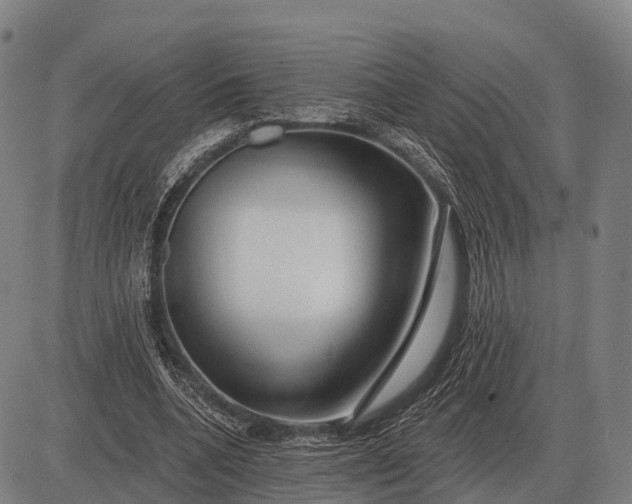 X0000083070536200702161824