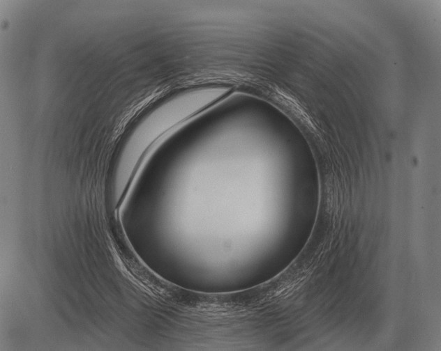 X0000083070538200702161824