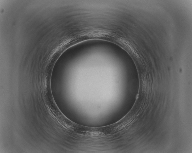 X0000083070539200702161824