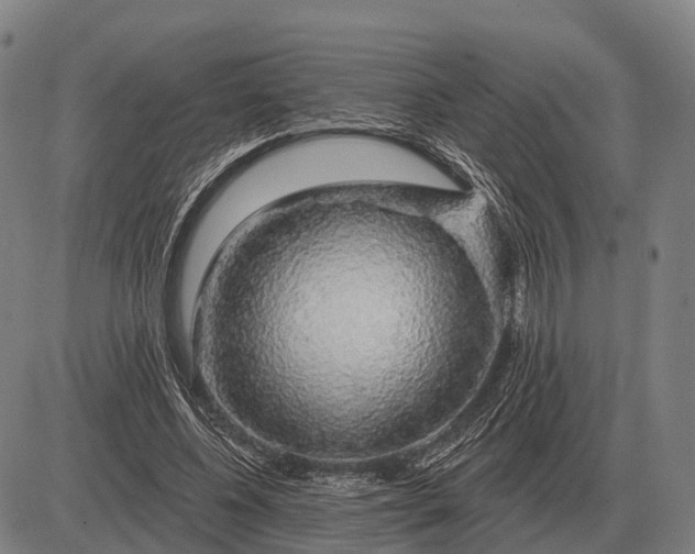 X0000083070540200702161824