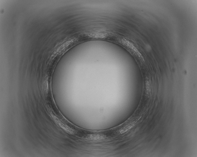 X0000083070541200702161824