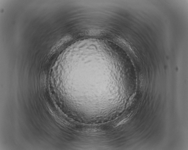 X0000083070542200702161824