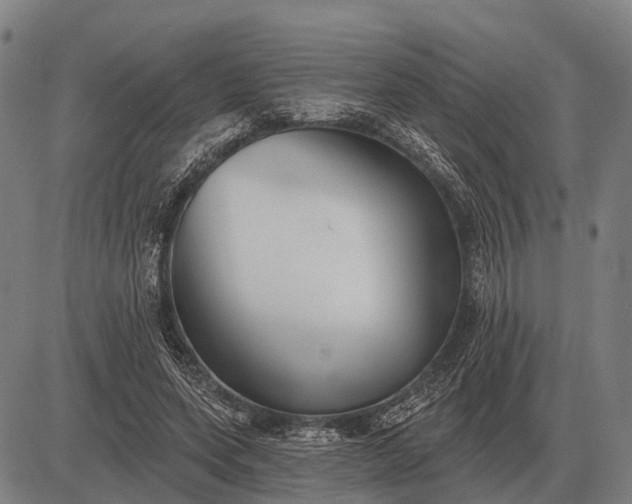 X0000083070543200702161824