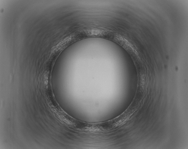 X0000083070545200702161824