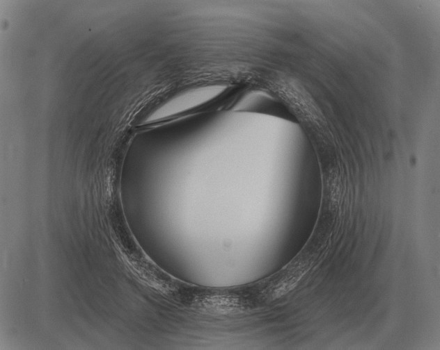 X0000083070546200702161824