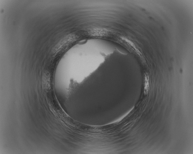 X0000083070547200702161824