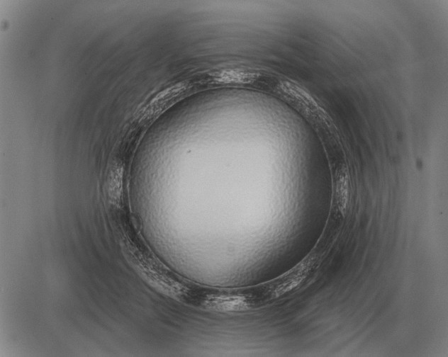 X0000083070554200702161824
