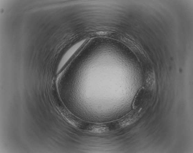 X0000083070555200702161824