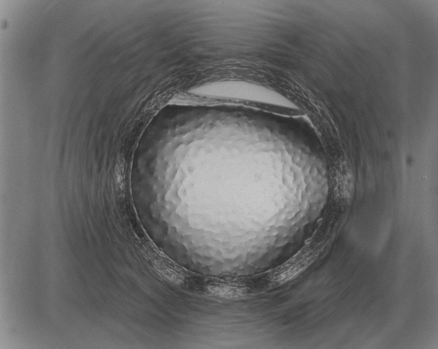 X0000083070561200702161824