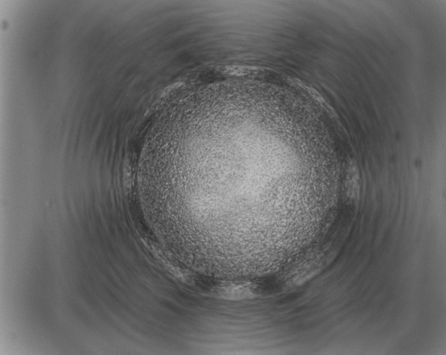 X0000083070569200702161824
