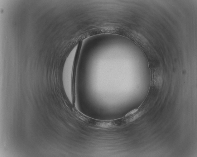 X0000083070575200702161824