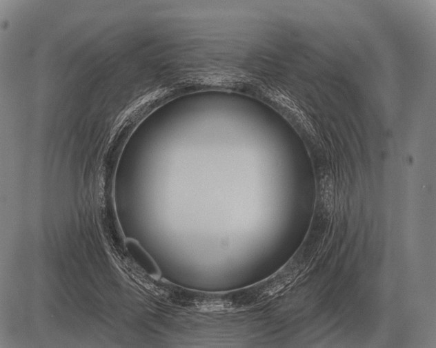 X0000083070587200702161824