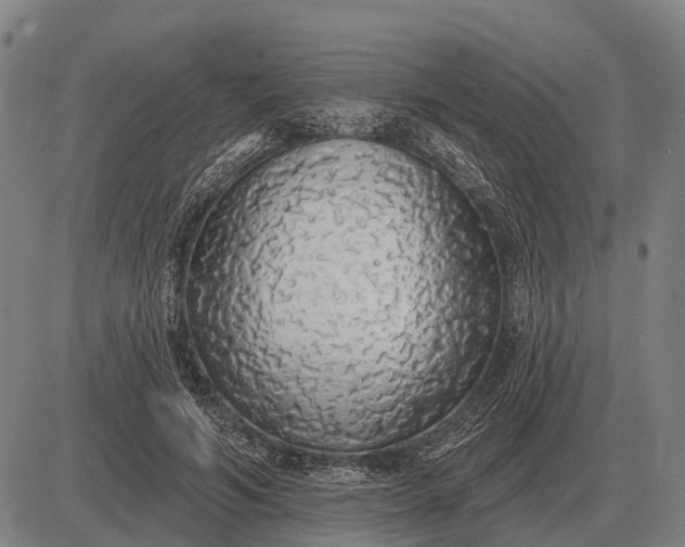 X0000083070594200702161823