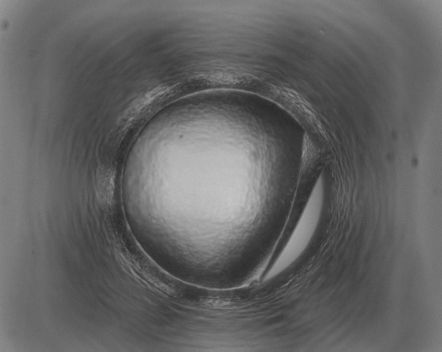 X0000083070596200702161823