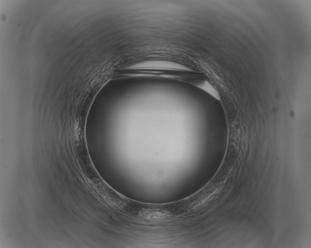 X0000083070597200702161823