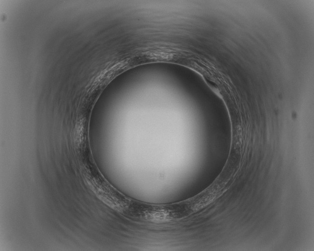 X0000083070600200702161823