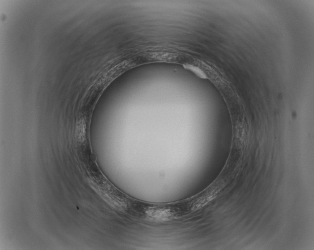 X0000083070602200702161823