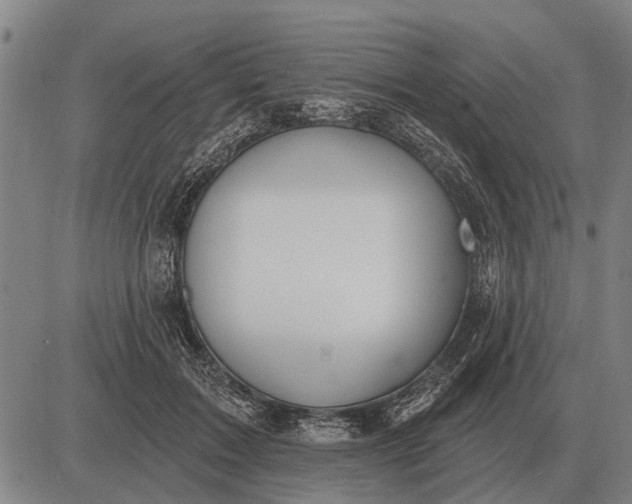 X0000083070603200702161823