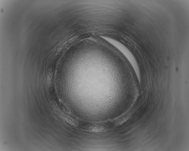 X0000083070604200702161823