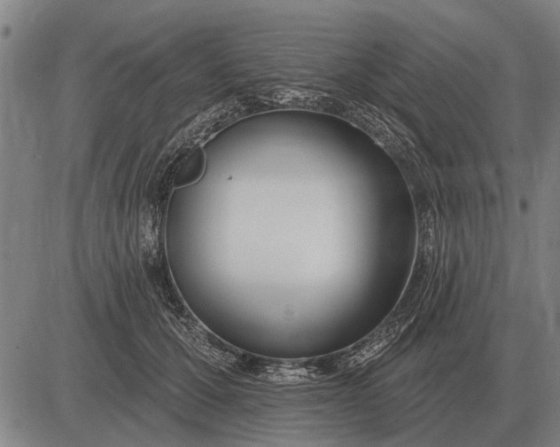 X0000083070607200702161823