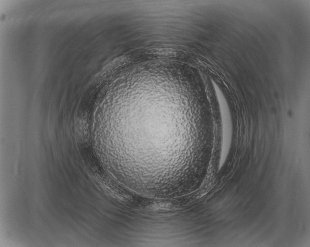 X0000083070609200702161823