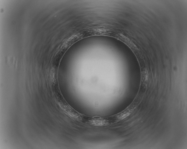 X0000083070615200702161823