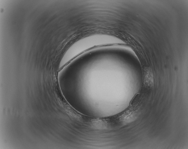 X0000083070616200702161823