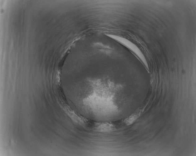 X0000083070621200702161823