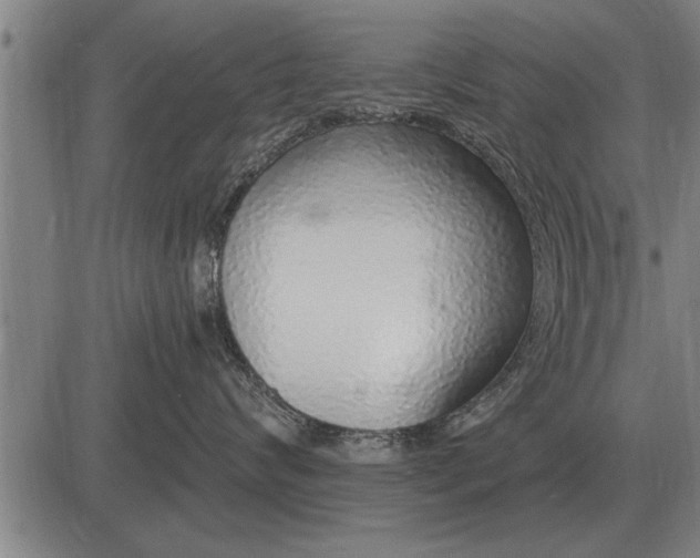 X0000083070624200702161823