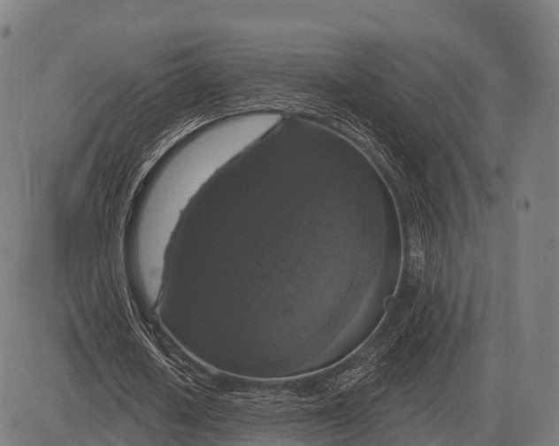 X0000083070626200702161822