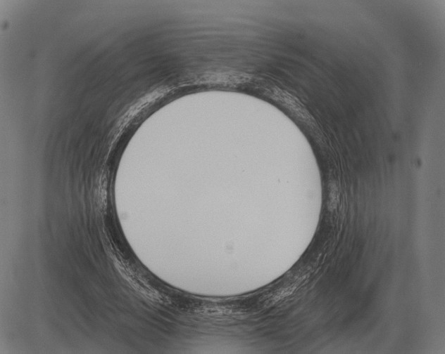 X0000083070632200702161822
