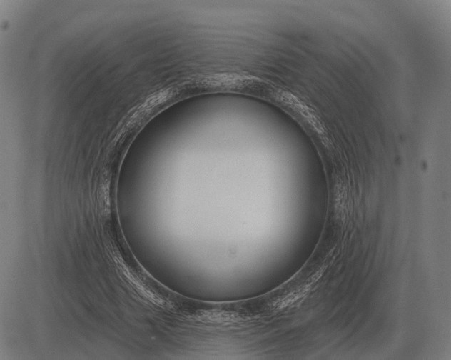 X0000083070633200702161822
