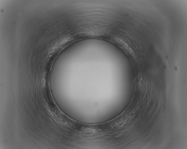 X0000083070635200702161822