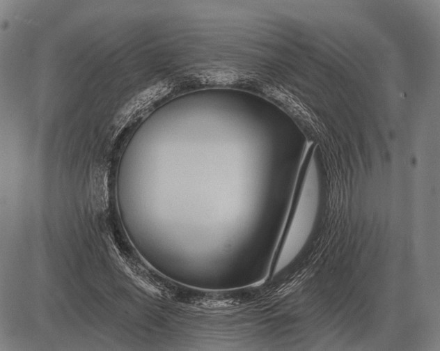 X0000083070638200702161822