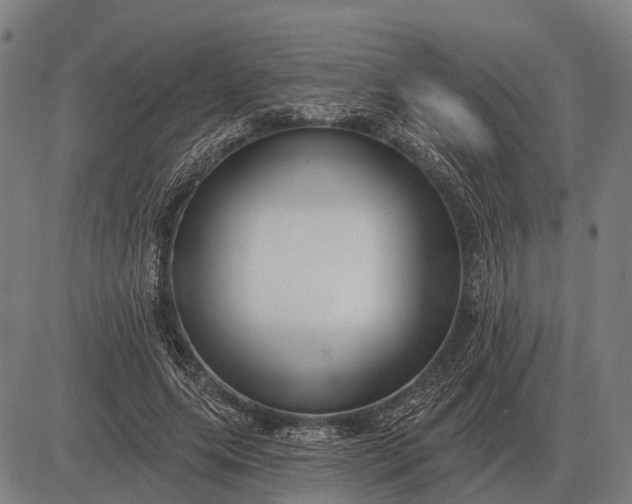 X0000083070639200702161822