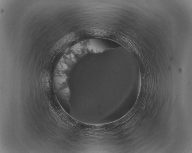 X0000083070643200702161822