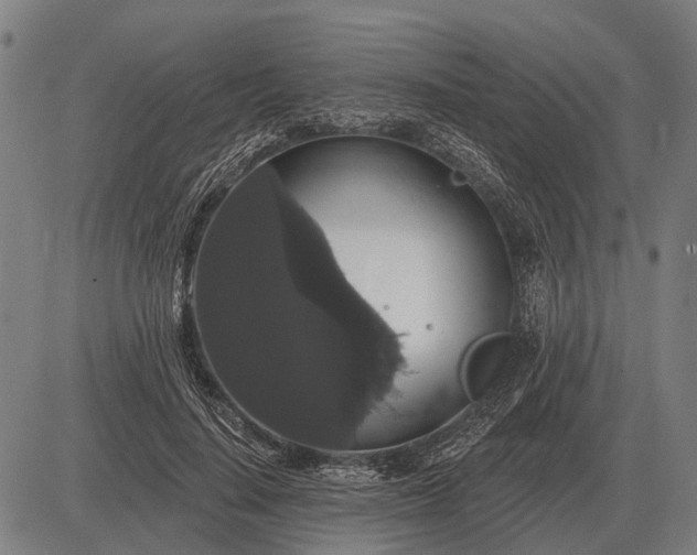 X0000083070644200702161822