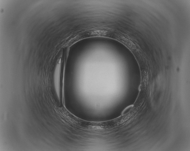 X0000083070649200702161823