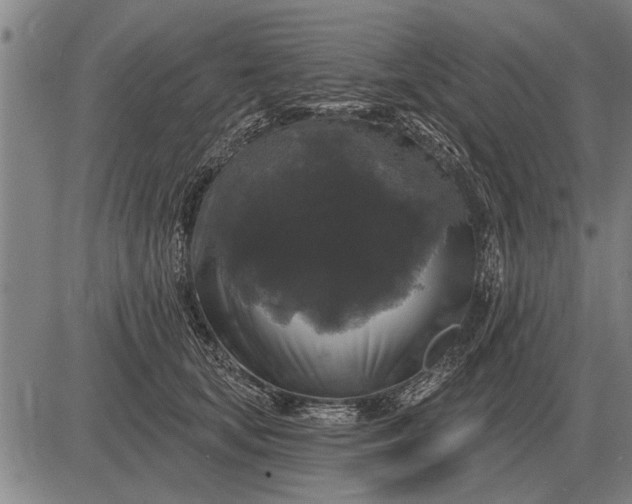 X0000083070659200702161823