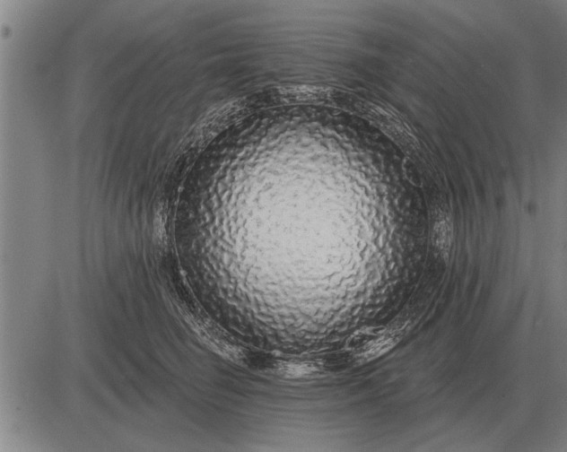 X0000083070662200702161823