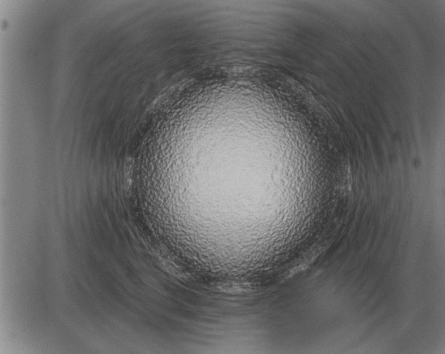 X0000083070664200702161823