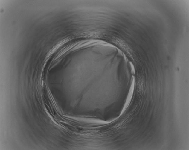 X0000083070674200702161822