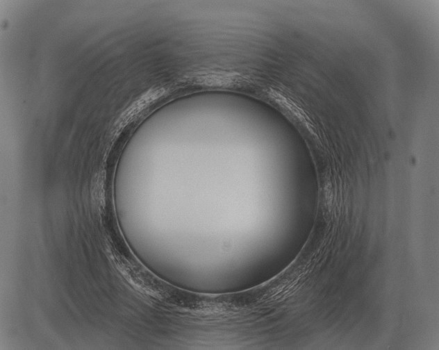 X0000083070682200702161822