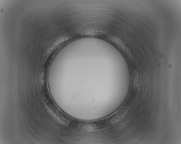 X0000083070683200702161822