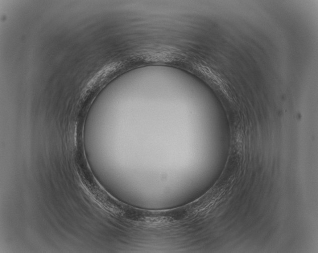 X0000083070686200702161822