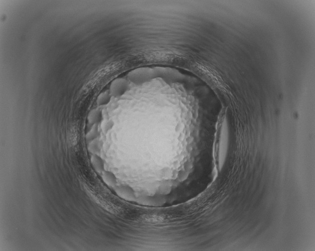 X0000083070687200702161822