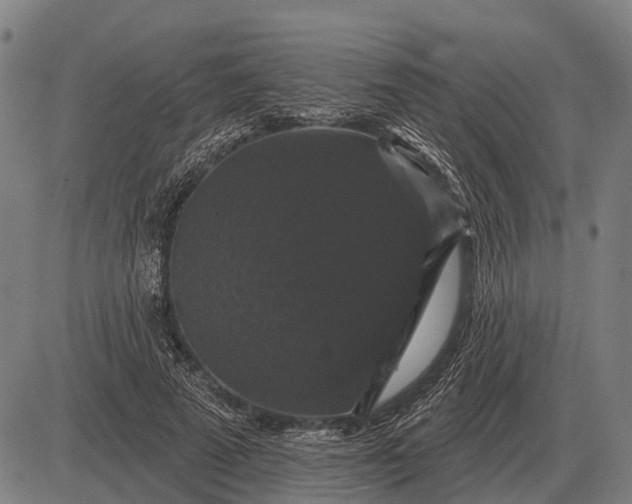 X0000083070689200702161822