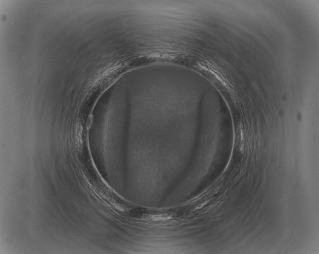 X0000083070692200702161822
